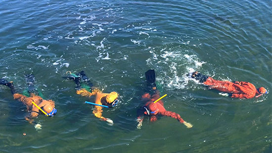 達蓮海參告訴你怎樣吃海參最有營養