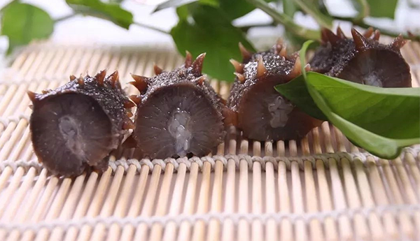 吃海參，千萬別讓海參營養流失了